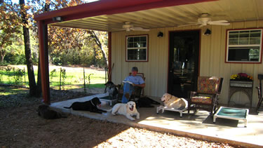 Photo of dogs relaxing with each other on cage-free porch of the dog boarding facility.