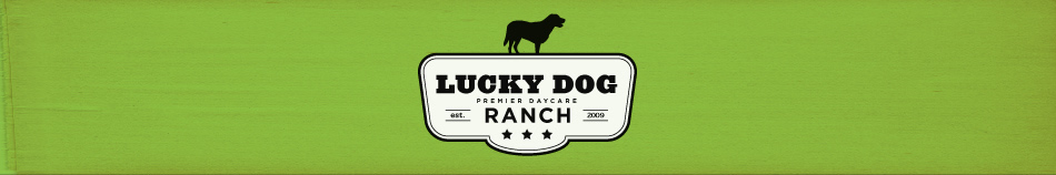 Photo of Lucky Dog Daycare Ranch Header.